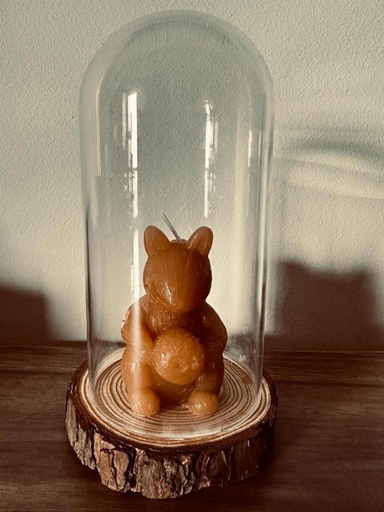 Love, Made In Xisto Piódão 외부 사진